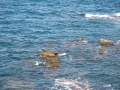 Meerblick mit Steine im Wasser / Mare con sassi